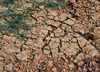 background of cracked soil surface and weeds