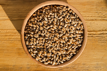 Grains of wheat in a clay bowl on a wood texture background. Wheat grain texture.