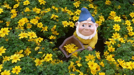 Lustiger  Gartenzwerg im Blumenbeet