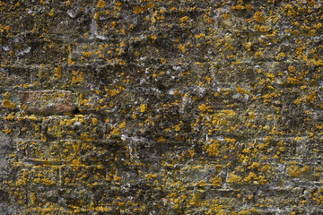 old brick wall
