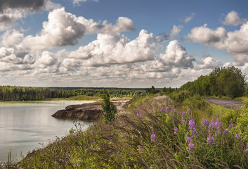 Fototapeta premium Summer cloudy day