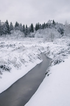 Winter landscape. Creek in frozen forest