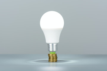 Led light bulb worth the coins