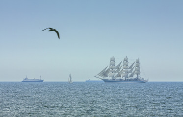 Seascape with flying seagull and three masted tall ship in full sails on the Black Sea on the horizon.