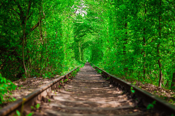 Fototapeta na wymiar a railway in the spring forest tunnel of love