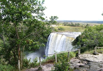 My beautiful picture