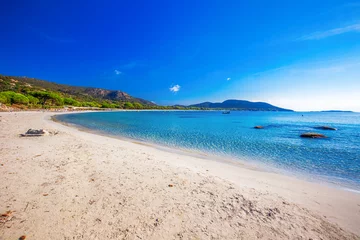 Photo sur Plexiglas Plage de Palombaggia, Corse Pins sur la plage de Palombaggia avec eau claire azur et plage de sable sur la partie sud de la Corse, France