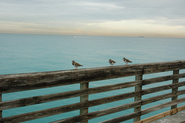 DAG_090101_DaniaPier_0010