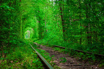 a railway in the spring forest tunnel of love