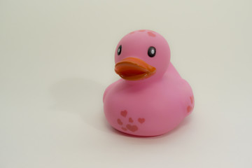 violet rubber duck, isolated on a white background. Children bath toy rubber ducky, close up.