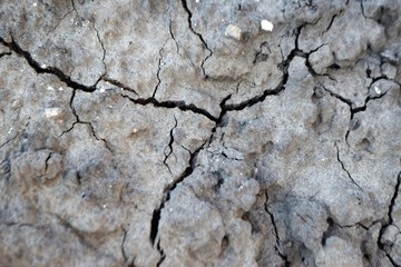 ground