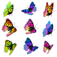 mooie kleur vlinders, set, geïsoleerd op een witte