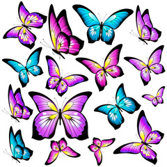 beautiful color butterflies,set, isolated  on a white