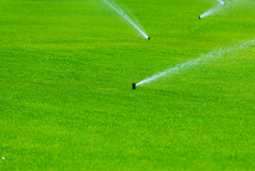 Lawn sprinkler spaying water over green grass. Irrigation system