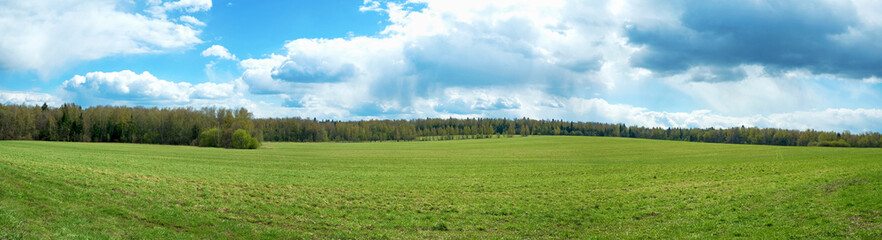 Panorama of summer landscape