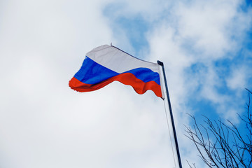 Flag of Russia battered torn develops against a blue sky with clouds. To the right is a frame of a tree branch.
