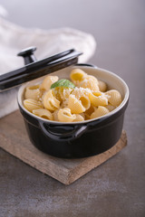Pastas cooked in a casserole dish