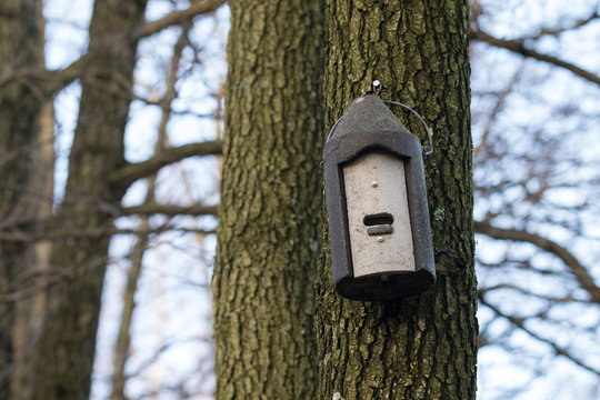 Batbox made of wood concrete hanging on a tree