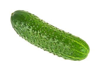 Cucumber isolated on white background