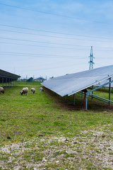 solar panel against high voltage towers