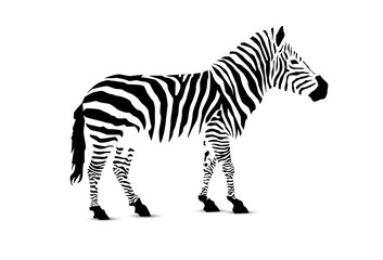 Fototapeta na wymiar Zebra. Silhouette of black stripes.
