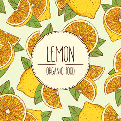 Vector hand-drawn banner with lemons, lemon slices and leaves. Vector illustration for shop, book, emblem, menu, label. Place for text