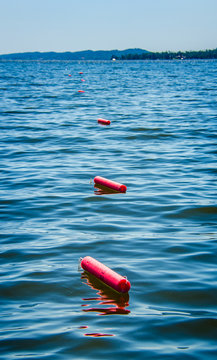 Fishing For Catfish Using Noodles Or Jugs With Bait Attached.  Fun Recreational Outdoor Sport Activity.  