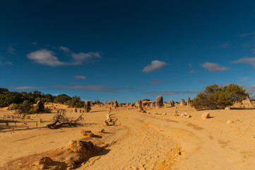 Deserto dei pinnacoli a nord di Perth, Nambung, Australia occidentale