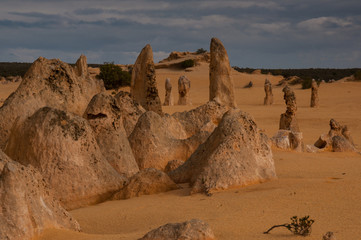Deserto dei pinnacoli a nord di Perth, Nambung, Australia occidentale
