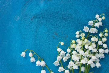 Foto auf Acrylglas Maiglöckchen Maiglöckchen Blumen