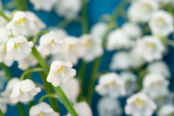 lily of the valley flowers