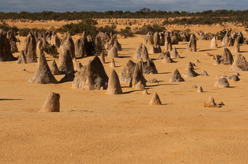 Deserto dei pinnacoli a nord di Perth, Nambung, Australia occidentale