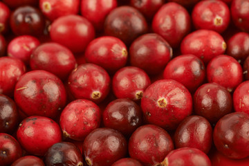 Surface coated with the cranberries