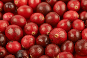 Surface coated with the cranberries