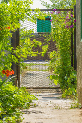 Gate with the mailbox on a summer day, in backlight