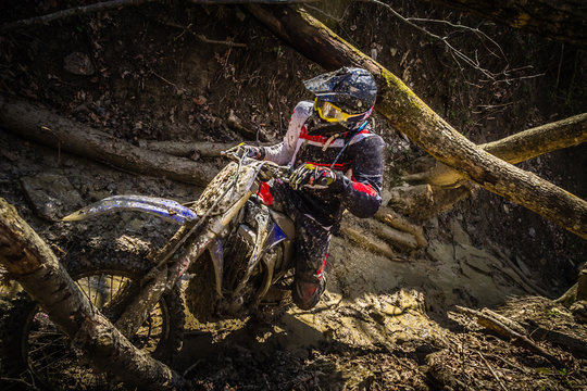 A motocross rider passes under a fallen tree on a crosscountry race