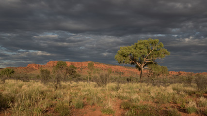 Fototapeta na wymiar Australia landscape