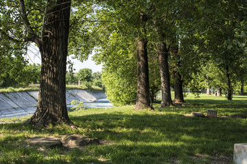 Fototapeta premium Parco