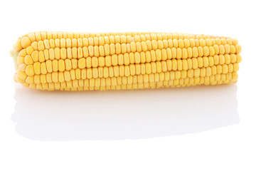 Cob of corn close-up on a white background.