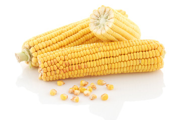 Corn cobs close-up on a white background.