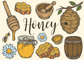 Honey jar, barrel, spoon, bee, honeycomb, chamomile, vintage set. Engraved organic food hand drawn sketch engraving illustration. Colorful isolated on white background.