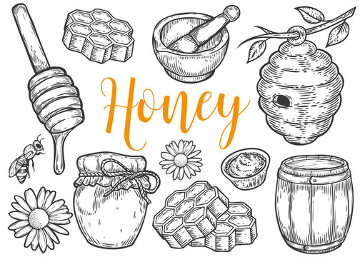 Sketch honey Engraved natural organic sweet  Stock Illustration  62009925  PIXTA