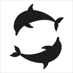 Dolphins on a white background