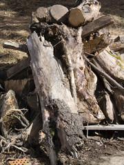 firewood 2