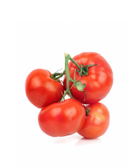 tomatoes isolated on a white background