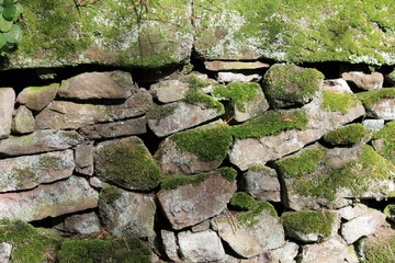 dry stone wall moss covered background