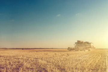 Fototapeta premium Harvester machine working in field