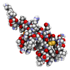 B-cell activating factor (BAFF, extracellular domain fragment) protein. Cytokine that acts as B cell activator. Target of the monoclonal antibody drug belimumab. 