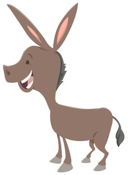 donkey animal character