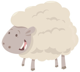 farm sheep animal